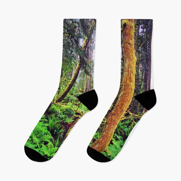 Item preview, Carmanah Valley Ancient Rainforest Vancouver Island Canada designed and sold by AndyEvansPhotos.