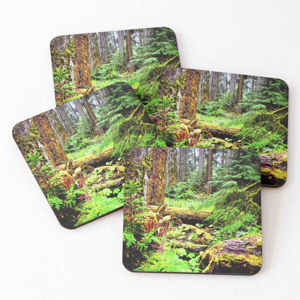 Item preview, Carmanah Valley Ancient Rainforest Vancouver Island Canada designed and sold by AndyEvansPhotos.