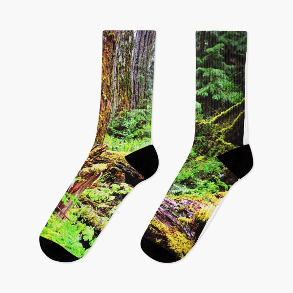Item preview, Carmanah Valley Ancient Rainforest Vancouver Island Canada designed and sold by AndyEvansPhotos.