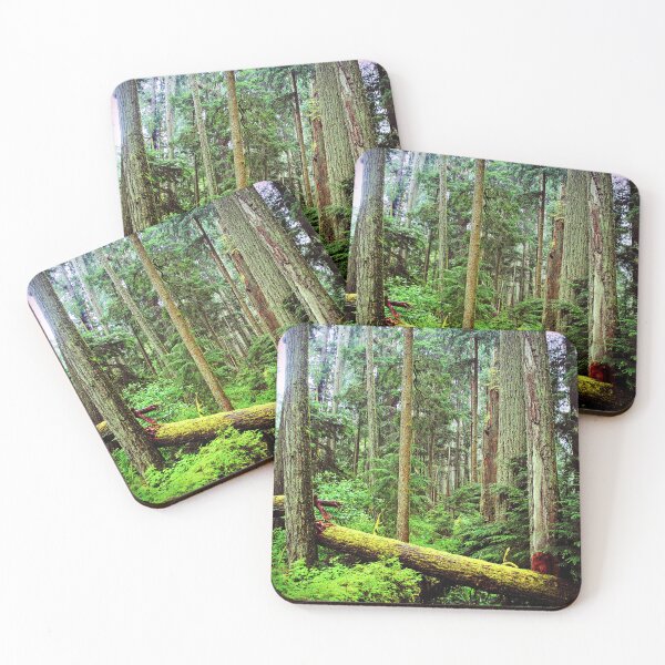 Item preview, Carmanah Valley Ancient Rainforest Vancouver Island Canada designed and sold by AndyEvansPhotos.