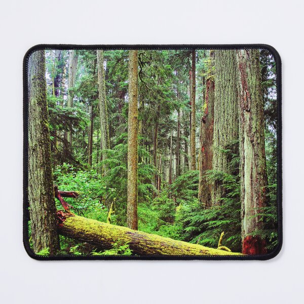 Item preview, Carmanah Valley Ancient Rainforest Vancouver Island Canada designed and sold by AndyEvansPhotos.
