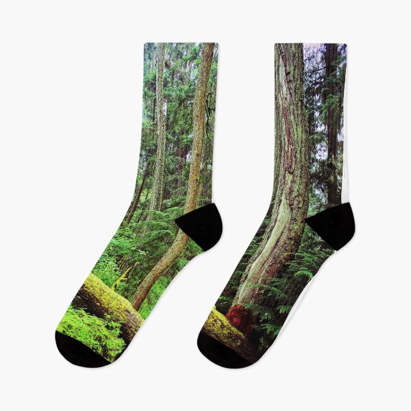 Item preview, Carmanah Valley Ancient Rainforest Vancouver Island Canada designed and sold by AndyEvansPhotos.