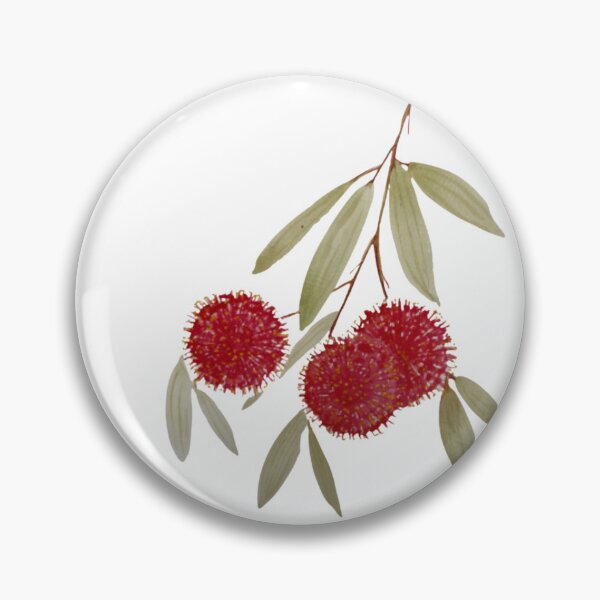 Item preview, Hakea Laurina “Pin Cushion” designed and sold by mindfulhomeedu.