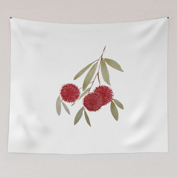 Item preview, Hakea Laurina “Pin Cushion” designed and sold by mindfulhomeedu.