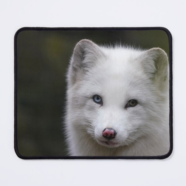 Item preview, Arctic Fox designed and sold by Portegiesje.