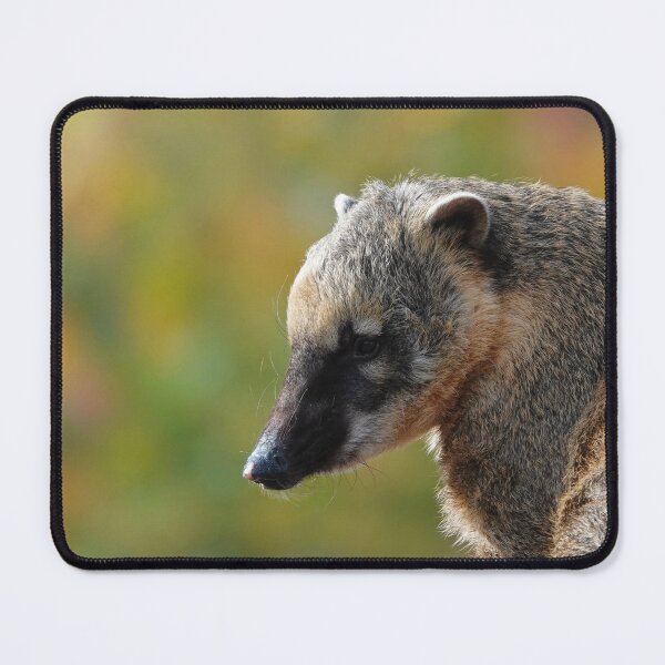 Item preview, South American Coati designed and sold by Portegiesje.