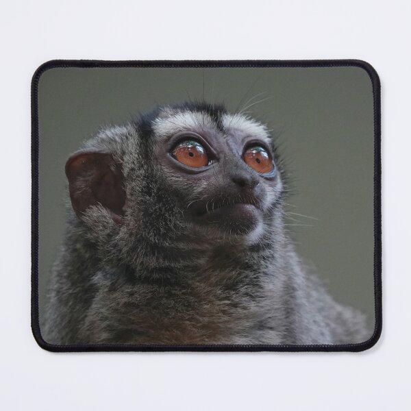 Item preview, Gray-Handed Night Monkey designed and sold by Portegiesje.