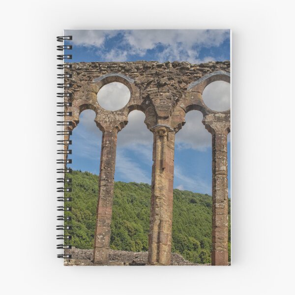 Item preview, Tintern Abbey designed and sold by Photopat.