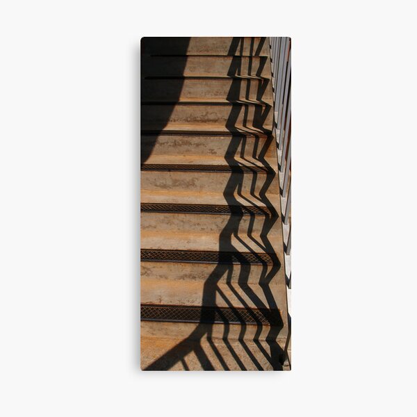 Shadow Play 9 Canvas Print