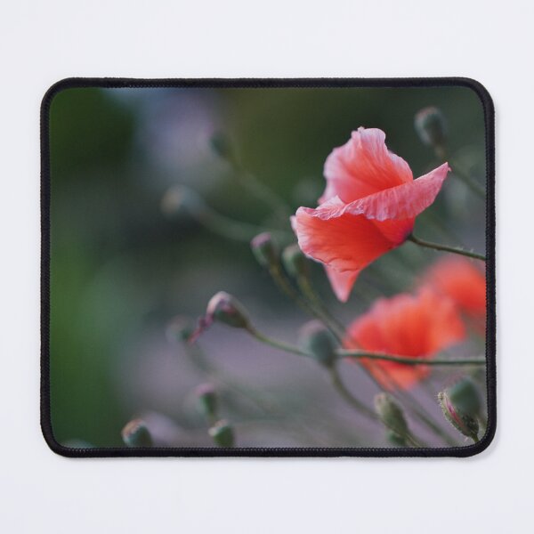 Item preview, Poppies designed and sold by Portegiesje.