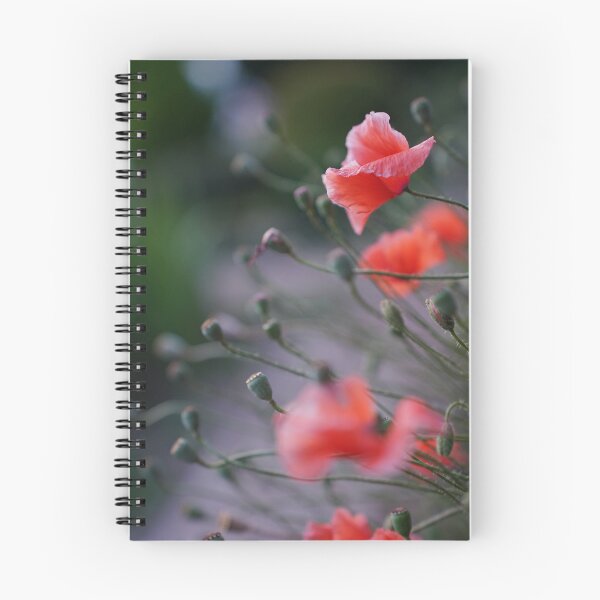 Item preview, Poppies designed and sold by Portegiesje.