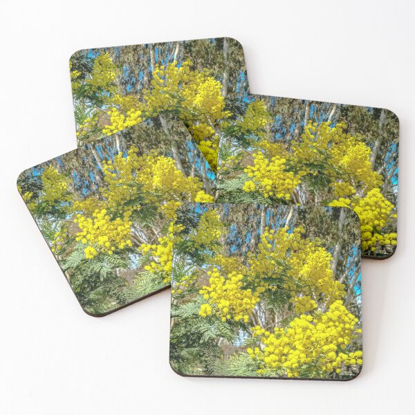Artikelvorschau, Goldene Wattle-Winterblüte – Bendigo, Victoria, Australien entworfen und verkauft von Steven Jodoin.