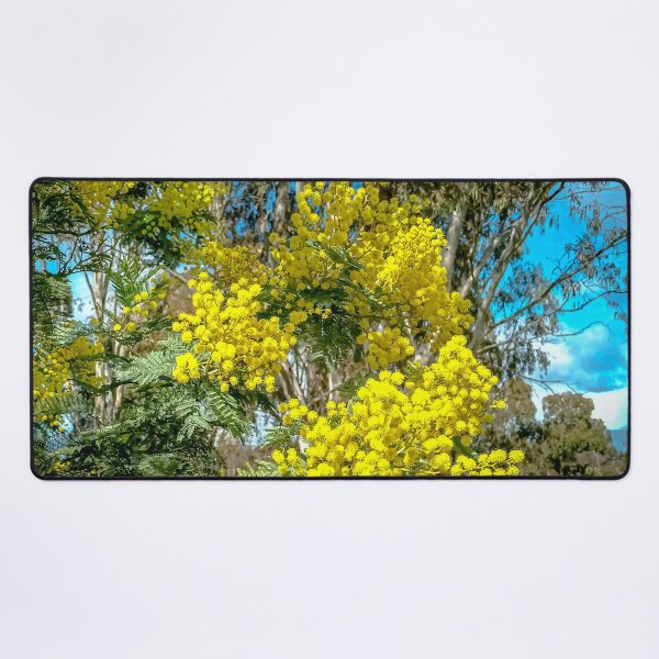 Item preview, Golden Wattle Winter Blossom - Bendigo, Victoria, Australia designed and sold by Steven Jodoin.