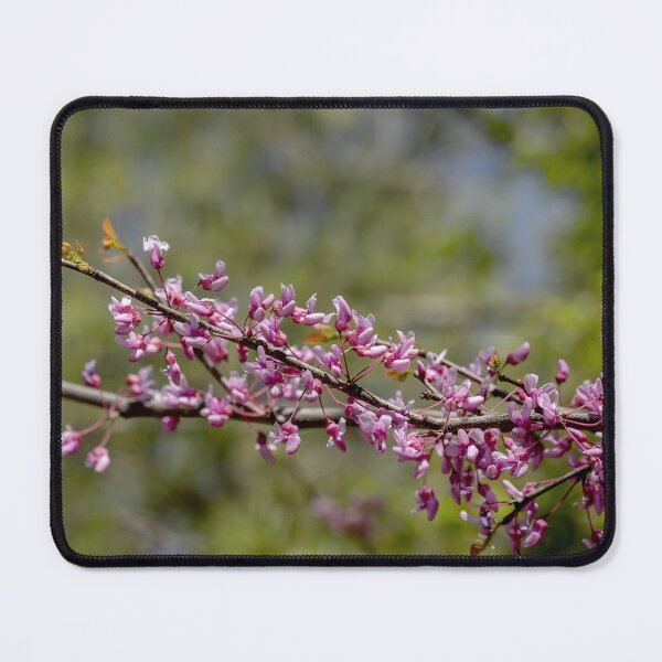 Item preview, Blooming redbud flowers on green designed and sold by KRFNatureGifts.