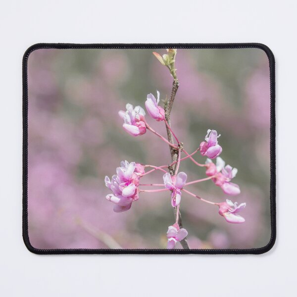 Item preview, Redbud flowers on cool toned background designed and sold by KRFNatureGifts.