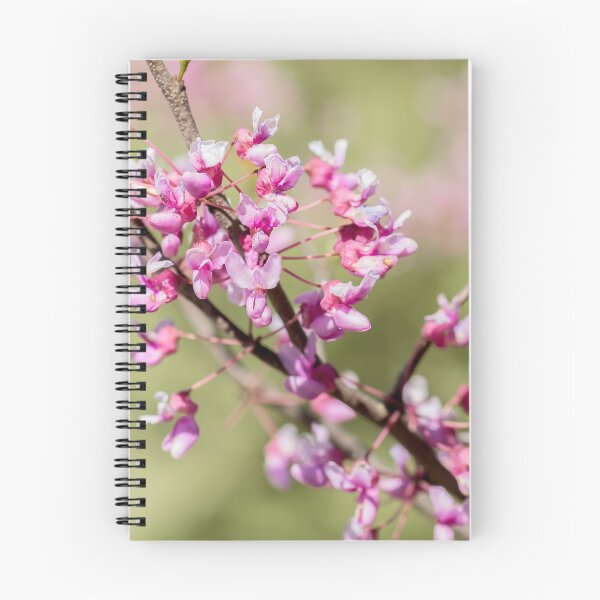 Item preview, Blooming redbud blossoms in spring designed and sold by KRFNatureGifts.