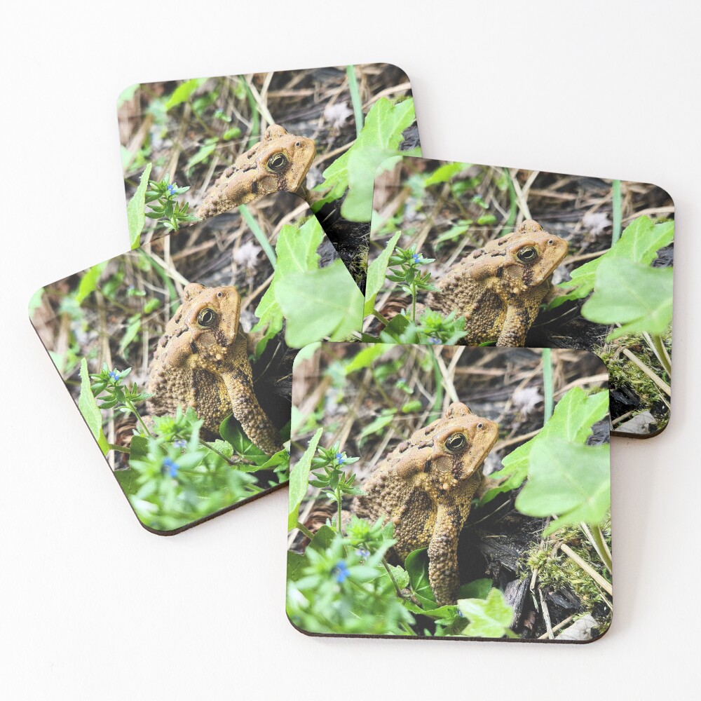 Item preview, Coasters (Set of 4) designed and sold by OutJsWindow.