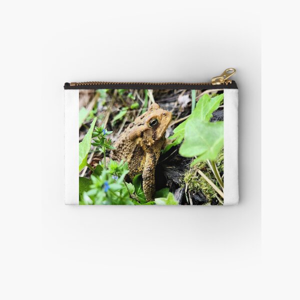 Item preview, American Toad designed and sold by OutJsWindow.