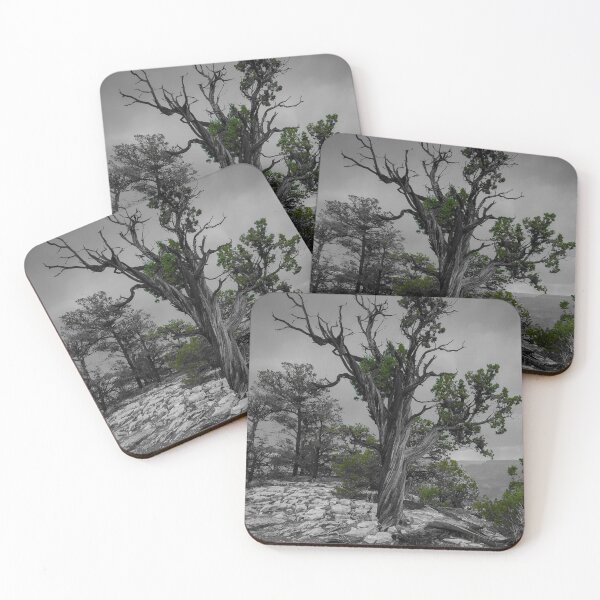 Item preview, Regrowth designed and sold by Jack Rajack.