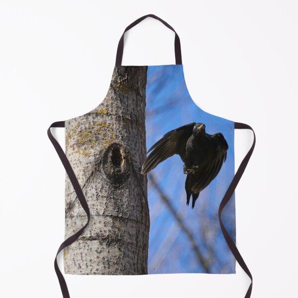 Item preview, Take off. Black woodpecker designed and sold by Jouko Lehto Photography.