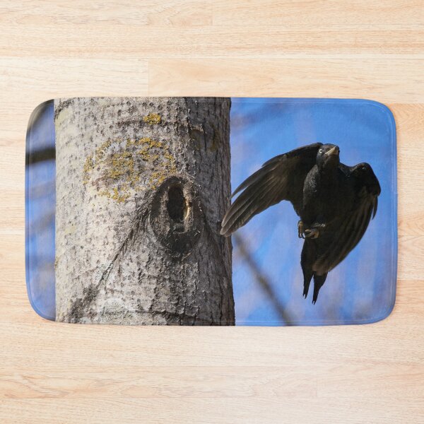 Item preview, Take off. Black woodpecker designed and sold by Jouko Lehto Photography.