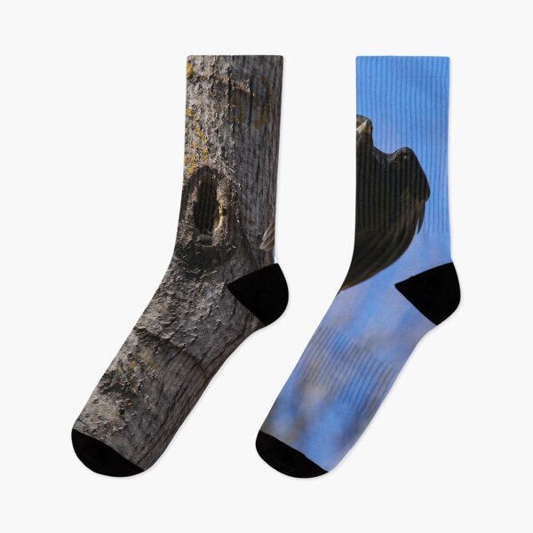 Item preview, Take off. Black woodpecker designed and sold by Jouko Lehto Photography.
