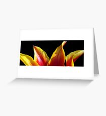 Tulip Tips Greeting Card