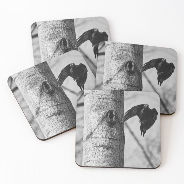Item preview, Take off. Black woodpecker bw designed and sold by Jouko Lehto Photography.