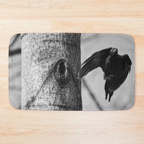 Item preview, Take off. Black woodpecker bw designed and sold by Jouko Lehto Photography.