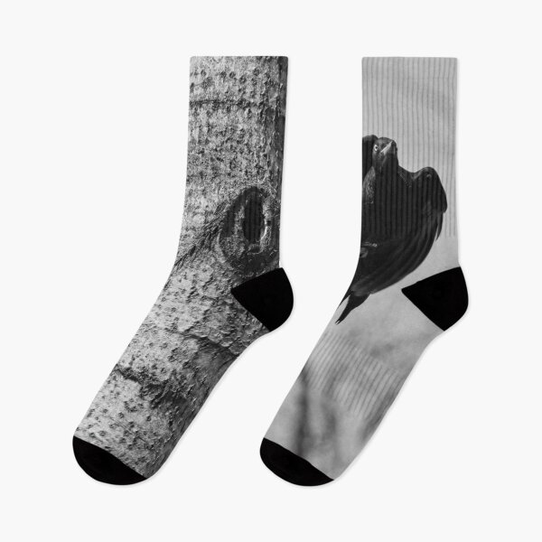 Item preview, Take off. Black woodpecker bw designed and sold by Jouko Lehto Photography.