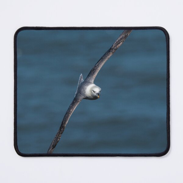 Item preview, Fulmar designed and sold by MTPhotos1406.