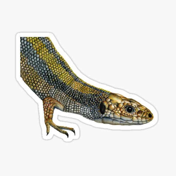 Lizard Reptile Watercolor Painting Wildlife Artwork Sticker
