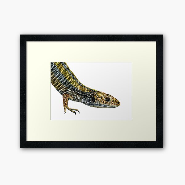 Lizard Reptile Watercolor Painting Wildlife Artwork Framed Art Print