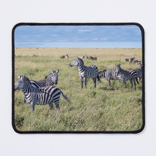 Item preview, Zebra Train Tanzania designed and sold by PhotoArt by Joan Carroll.