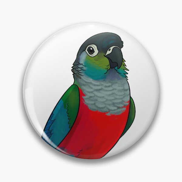 Item preview, Crimson bellied conure designed and sold by BourkiiBoutique.