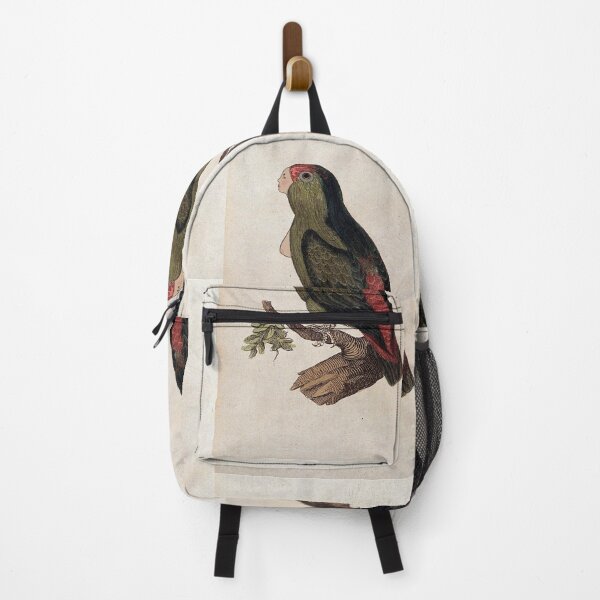 Item preview, Parakeet harpy designed and sold by Sydney Bradshaw.