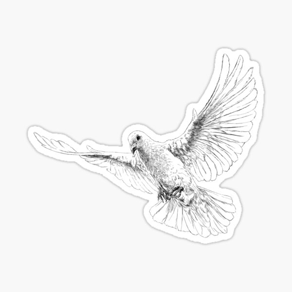 Stickers – Single Bird Style – Parrot – 1 inch (total of 50 stickers) -  Take Flight Learning