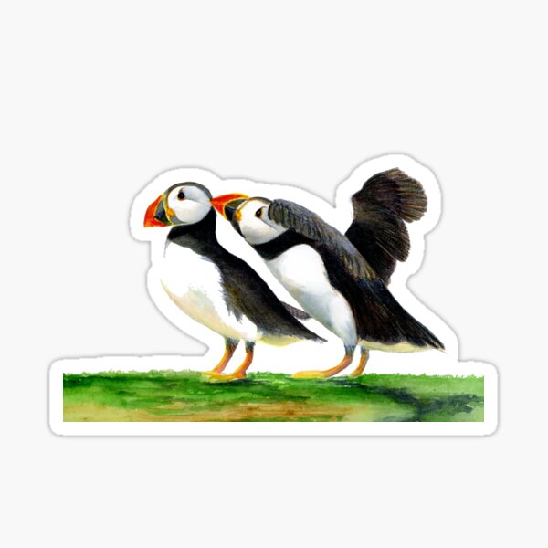 Atlantic Puffin Birds Watercolor Painting Wildlife Artwork Sticker
