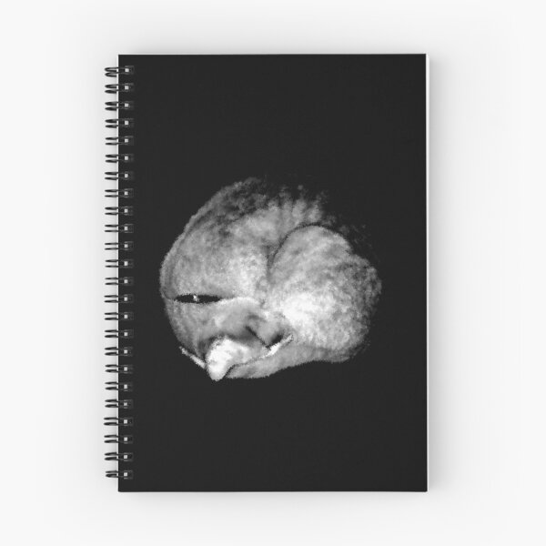 Item preview, FURBALL designed and sold by Jayson Gaskell Photography.