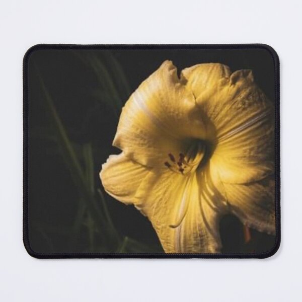 Item preview, Sun-Kissed Elegance designed and sold by Beverleysprings.
