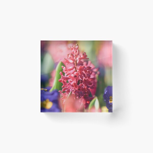 Item preview, Spring Bloom designed and sold by Jay Mayne.