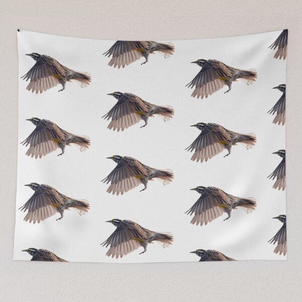 Item preview, Western Meadowlark flying designed and sold by RickClarkPhotos.