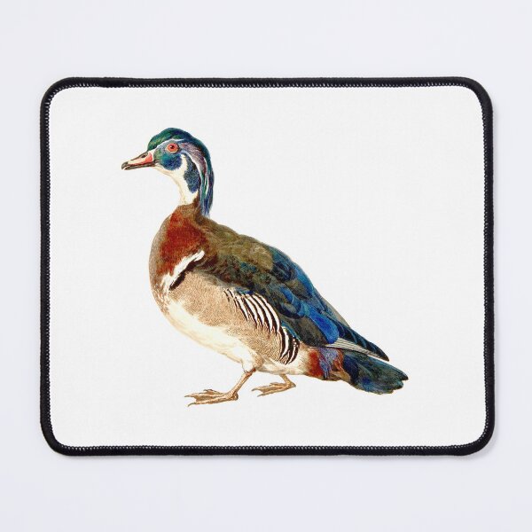 Item preview, A Duck designed and sold by WallyMcCloud.
