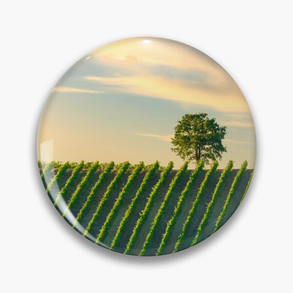 Item preview, Vineyard and a tree at sunset. Castellina in Chianti, Italy designed and sold by Stefano Orazzini.