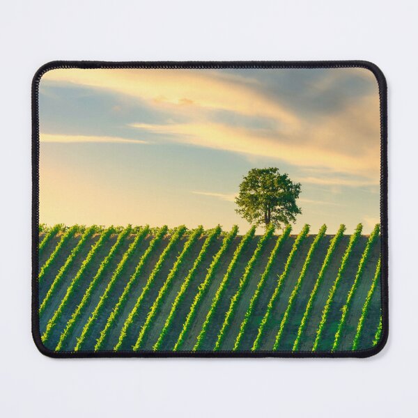 Item preview, Vineyard and a tree at sunset. Castellina in Chianti, Italy designed and sold by Stefano Orazzini.