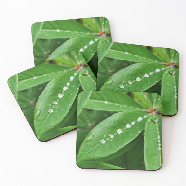 Item preview, Irish Plant with Raindroplets designed and sold by MinaBohl.