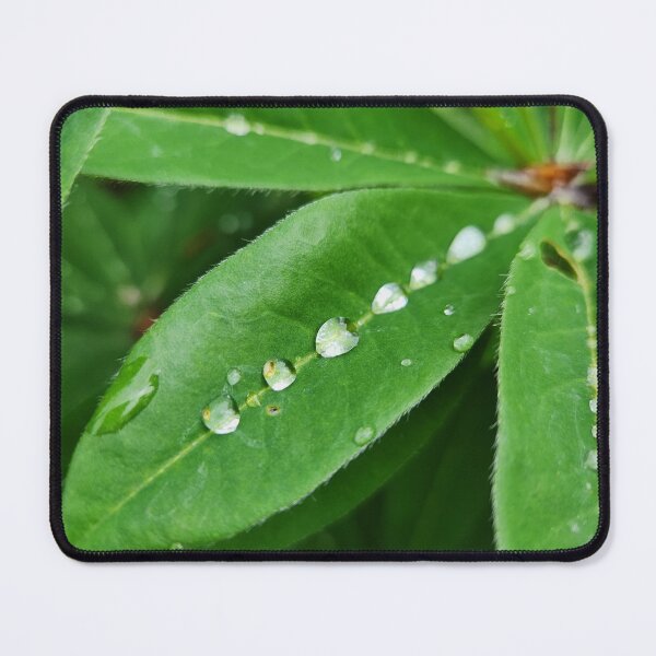 Item preview, Irish Plant with Raindroplets designed and sold by MinaBohl.