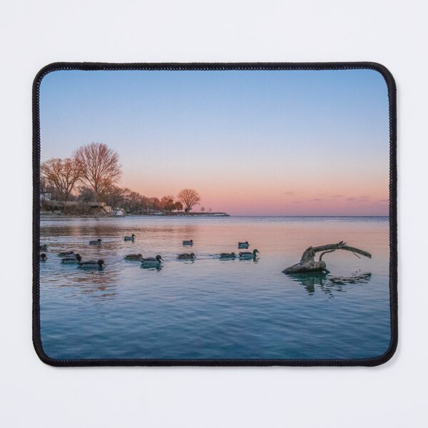 Item preview, Ducks go for a Sunset Swim in Lake Ontario designed and sold by jrtwynam.