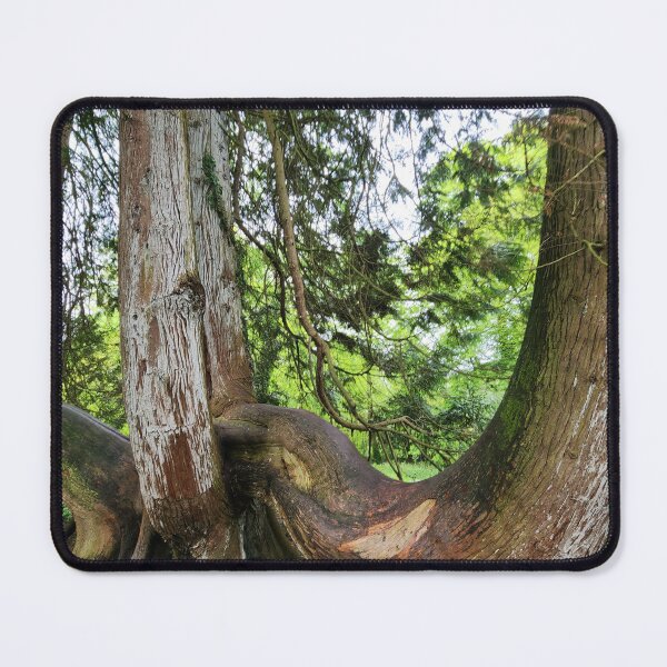 Item preview, Curvy Irish Tree in Blarney Forest designed and sold by MinaBohl.