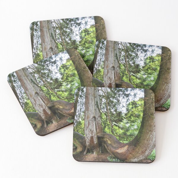 Item preview, Curvy Irish Tree in Blarney Forest designed and sold by MinaBohl.